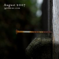 Download Live Forever Live Forever