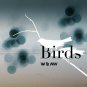 Download Birds - Theme: Birds Birds