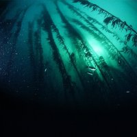 Download Deep Blue - Theme: Journey Into The Sea Deep Blue