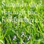 Download Summer days through the folkish haze - Theme: play on the hay bales Summer days through the folkish haze