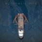 Download Synthetic Dirt - Theme: dirty waves, dirty jobs, dirty food, and dirty girls Synthetic Dirt