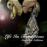 Download Life In Transition: Summer Edition - Theme: Transitional Life In Transition: Summer Edition